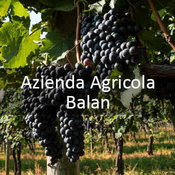 Azienda Agricola Balan