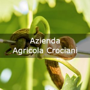 Azienda Agricola Crocian