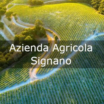 Azienda Agricola Signano