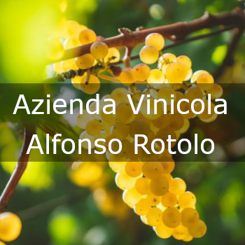 Azienda Vinicola Alfonso Rotolo