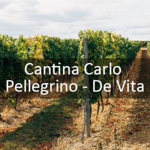 Cantina Carlo Pellegrino - De Vita