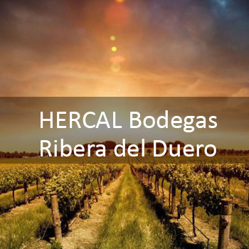 HERCAL Bodegas - Ribera del Duero