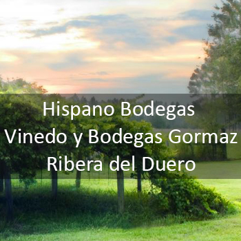 Hispano Bodegas Vinedo y Bodegas Gormaz - Ribera del Duero