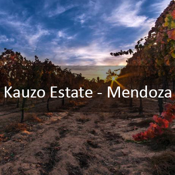 Kauzo Estate - Mendoza