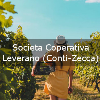Societa Coperativa Leverano (Conti-Zecca)